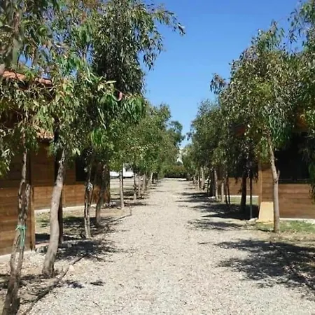 Campsite Le Casette Camping / Sosta Camper *